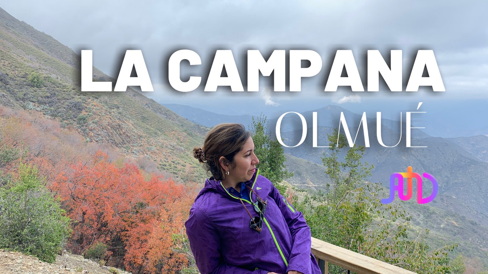 LA CAMPANA OLMUE