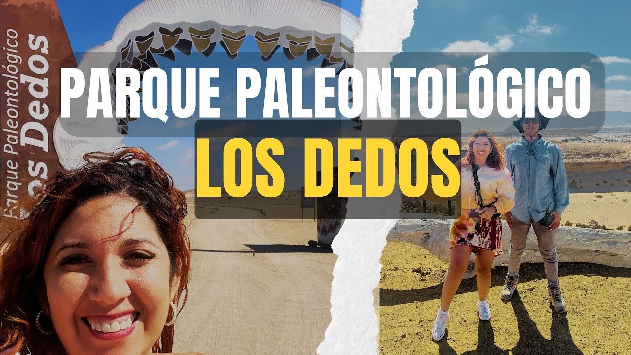 heylin willmuth atacama